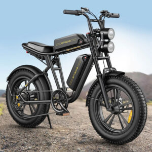 ENGWE M20 250W 48V26AH Dual Battery