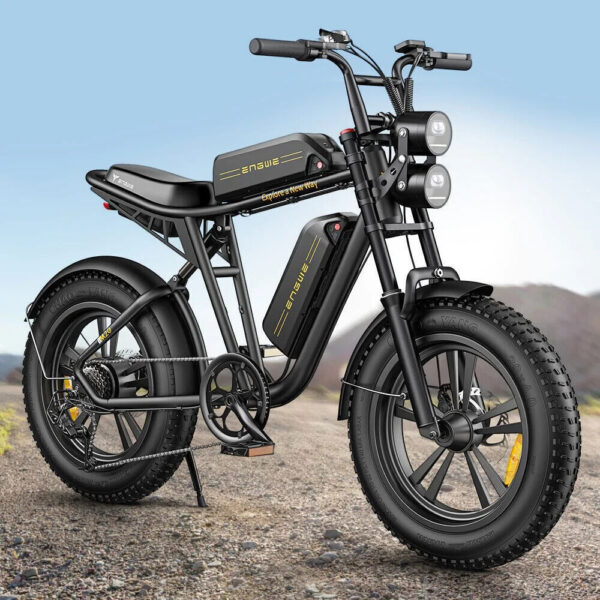 ENGWE M20 250W 48V26AH Dual Battery